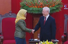 Vietnam-Singapore relationship at its prime