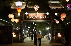 Ninh Binh lights up night-time tourism