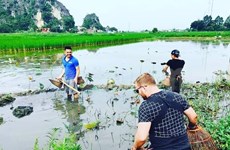 Vietnam leaves strong impression on foreign tourists