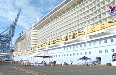 Measures sought to fully tap potential of cruise tourism