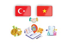 Vietnam, Türkiye promote cooperative relations