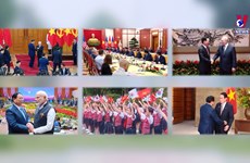 2023 - A successful year for Vietnam’s Diplomacy