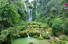Nang Tien Waterfall splendid amid Northwest forests
