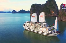 Vietnam's tourism shows strong recovery in 2023