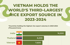 Vietnam - the world's third-largest rice exporter