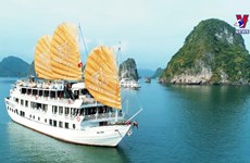 Over 4.6 million foreign tourists visit Vietnam in Q1