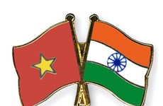 Vietnam helps enhance ASEAN-India ties: Ambassador