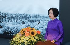 VNA launches special news website on Dien Bien Phu Victory