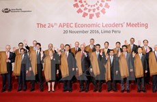 Vietnam receives support in hosting APEC Year 2017: Deputy PM