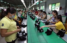 Tra Vinh strives to attract 2.6 billion USD in five years