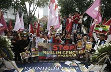 Indonesia calls to stop violence against Rohingya Muslims