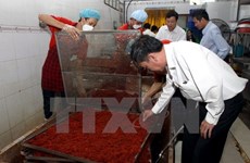 HCM City takes drastic measures to ensure food safety