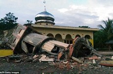 Indonesia earthquake: Initial casualty report 20 deaths