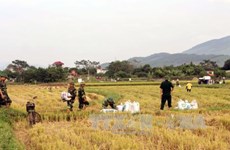 Quang Ninh aims to eradicate extreme poverty by 2020
