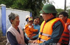 Deputy PM inspects flood-hit areas in Binh Dinh, Quang Ngai