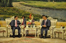 Vietnam, China should keep on realising common perceptions: official