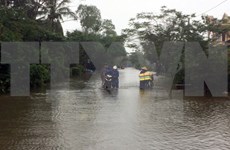 Deputy PM urges harder work to cope with widespread flooding