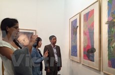 Da Nang fine arts museum opens to public 