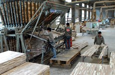Vietnam’s wood processing faces material shortage