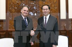 Human resources development key for Vietnam’s growth: President