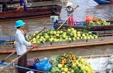 Can Tho to host int’l Mekong Delta agriculture festival