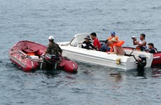 Vietnamese, Russian scientists end fifth sea survey