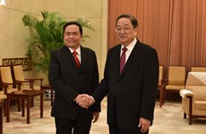 Vietnam Fatherland Front boosts links with Chinese counterpart
