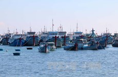 More storm shelter for fishing boats built in Ben Tre