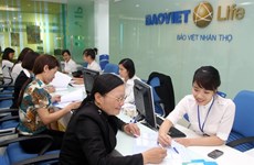 Bao Viet Group earns record 1 billion USD
