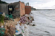 Binh Thuan province struggles to tackle coastal erosions