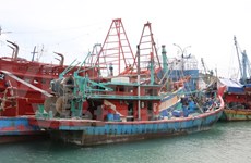 Vietnam to sign MoU on sea and fishery cooperation with Indonesia