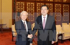 Parliamentary cooperation crucial to Vietnam-China political trust