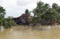 Over 2.6 million USD raised for flood victims via fatherland front 