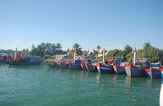 Boat services to Ly Son island increased