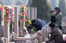 Tomb-sweeping tradition observed in Vietnam 
