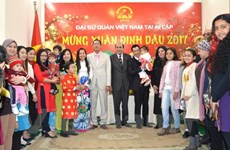 Vietnamese in Cambodia, Egypt celebrates traditional New Year
