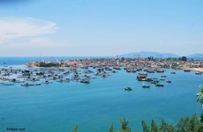 Nghi Son commune – bright spot of Thanh Hoa’s island tourism 