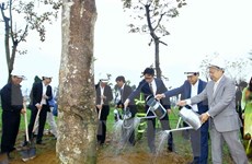 Hanoi launches tree-planting campaign