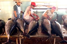 Tuna exporters aim for 8 percent increase this year