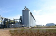 Alumina plant expected to stimulate Dak Nong’s economy