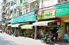 Oriental medicine market to be HCM City’s attraction