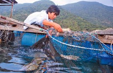 Vietnam’s coastal zones boast rich resources