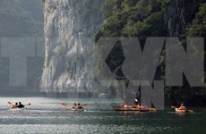 Lan Ha Bay – marine tourist magnet of Vietnam