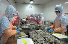 Trade ministry urges Australia to lift ban on shrimp imports