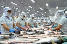 Tra fish sector should target Asian market: experts
