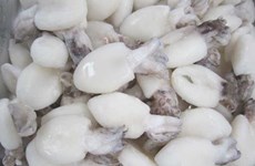 Cuttlefish, octopus export to grow