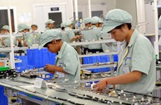 Ha Nam works to remove labour difficulties for FDI businesses 