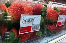 RoK strawberry imports face new rules