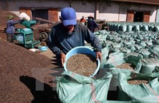Brazil to import robusta coffee from Vietnam 