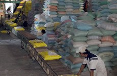 Vietnam should focus on high-quality rice, experts say